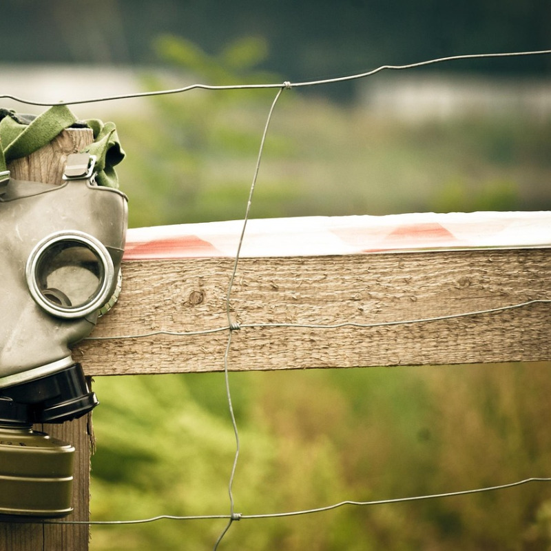 gas mask survivor